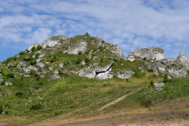 dsc04231.jpg
