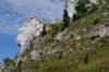 dsc04233_small.jpg