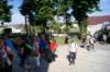 dsc04236_small.jpg