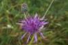 dsc04603_small.jpg