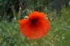 dsc04606_small.jpg