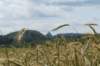dsc04652_small.jpg