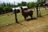 dsc04665_small.jpg