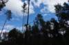 dsc04668_small.jpg