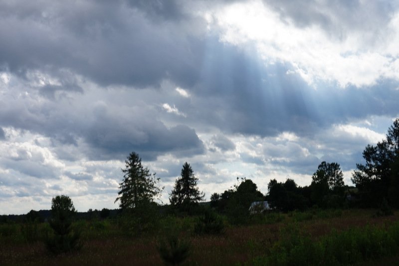 dsc04695.jpg