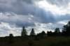 dsc04695_small.jpg