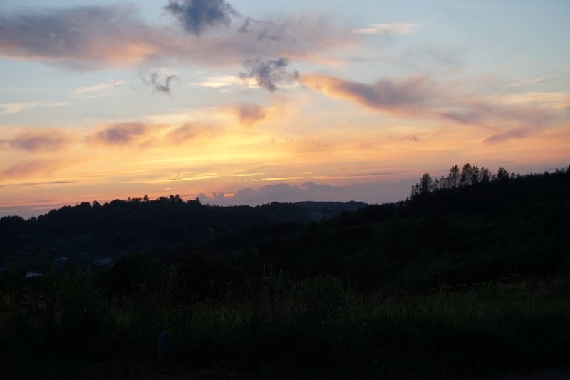 dsc04713.jpg