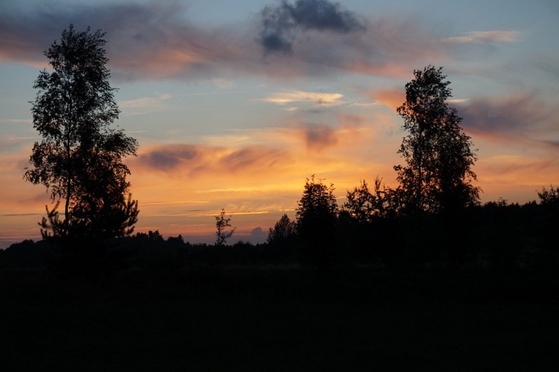 dsc04719.jpg