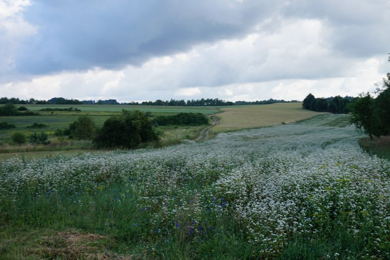 dsc04752.jpg