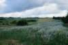 dsc04752_small.jpg