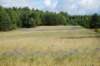 dsc04771_small.jpg