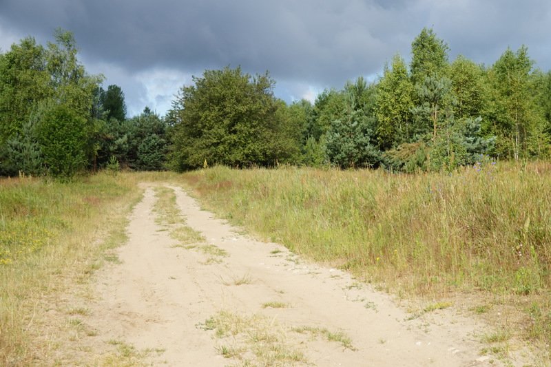dsc04785.jpg