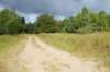 dsc04785_small.jpg