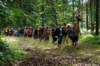 dsc04800_small.jpg