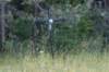 dsc04815_small.jpg