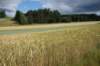 dsc04833_small.jpg