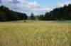dsc04836_small.jpg