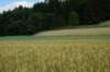 dsc04838_small.jpg