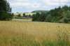 dsc04839_small.jpg