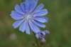 dsc04841_small.jpg
