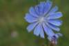 dsc04842_small.jpg