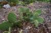 dsc04940_small.jpg
