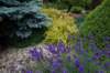 dsc04942_small.jpg