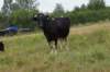 dsc05001_small.jpg