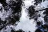 dsc05100_small.jpg