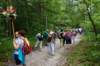 dsc05168_small.jpg