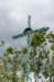 dsc05236_small.jpg