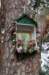 dsc05255_small.jpg