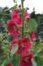 dsc05299_small.jpg