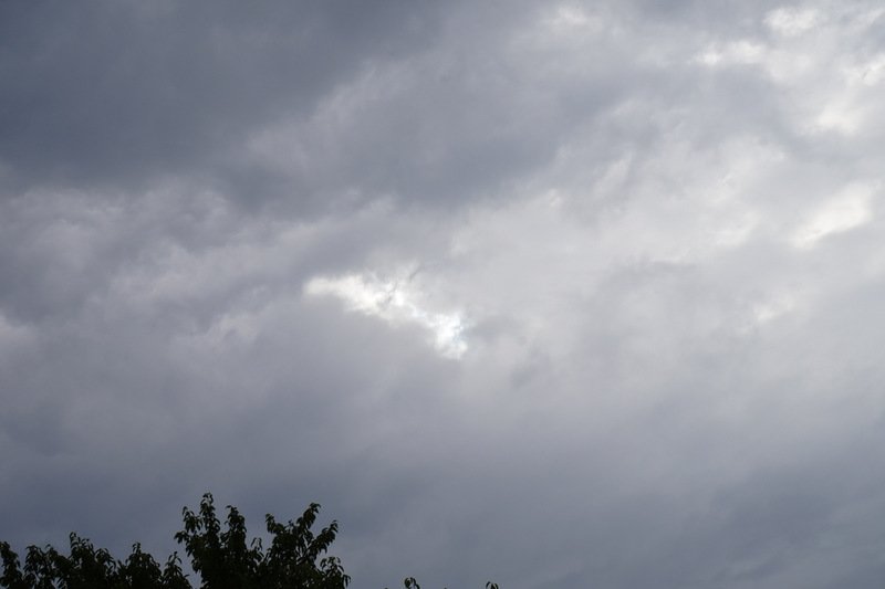 dsc05368.jpg