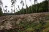dsc05383_small.jpg