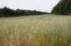 dsc05414_small.jpg
