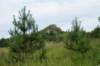 dsc05426_small.jpg