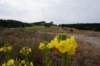 dsc05432_small.jpg