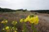 dsc05433_small.jpg