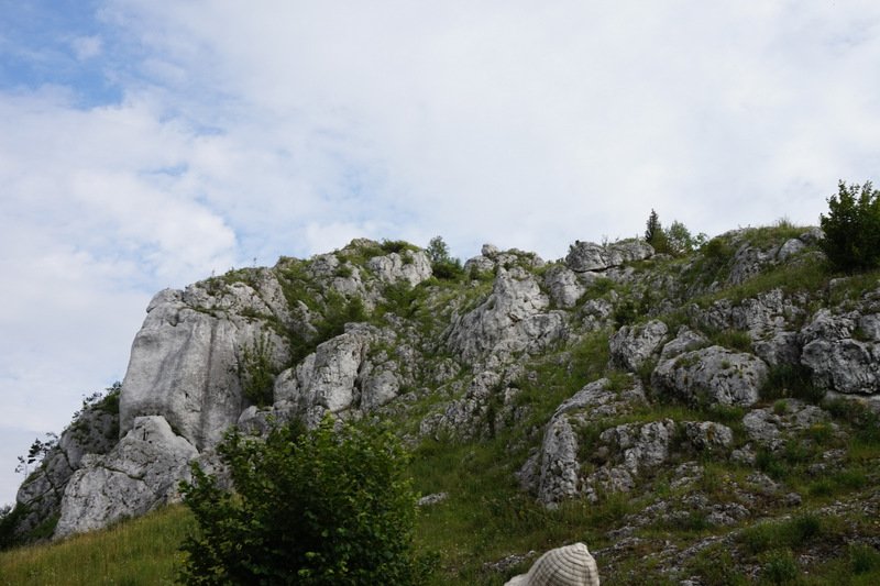 dsc05452.jpg
