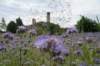 dsc05486_small.jpg