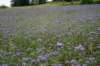 dsc05492_small.jpg