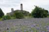 dsc05494_small.jpg