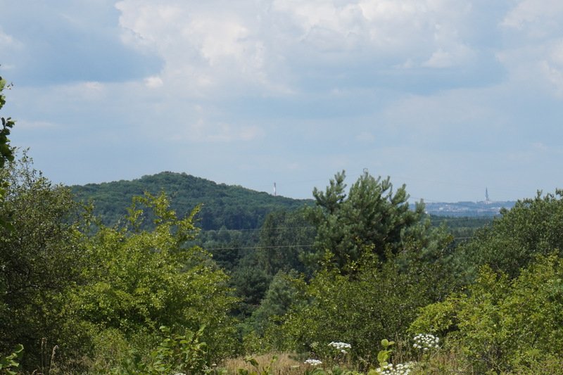 dsc05593.jpg