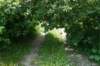 dsc05678_small.jpg