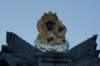 dsc05896_small.jpg