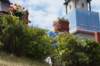dsc06047_small.jpg