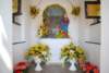 dsc_0043_small.jpg