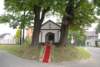 dsc_0049_small.jpg