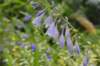 _dsc0918_small.jpg